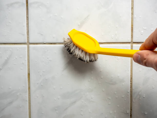 Reliable Winston Salem, NC Mold Removal Solutions