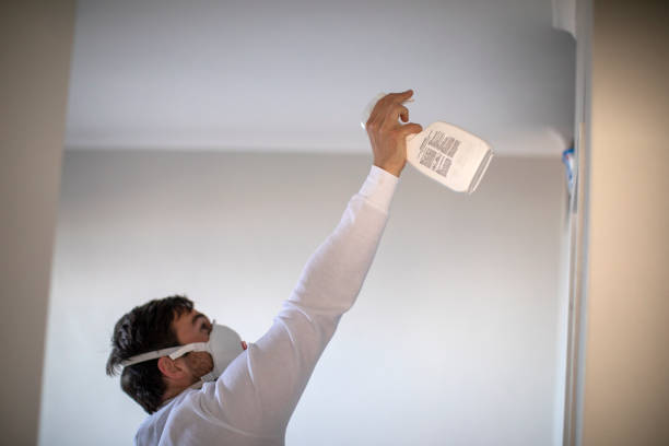 Best Commercial Mold Removal  in Winston Salem, NC