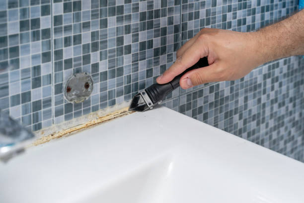Best Black Mold Removal  in Winston Salem, NC