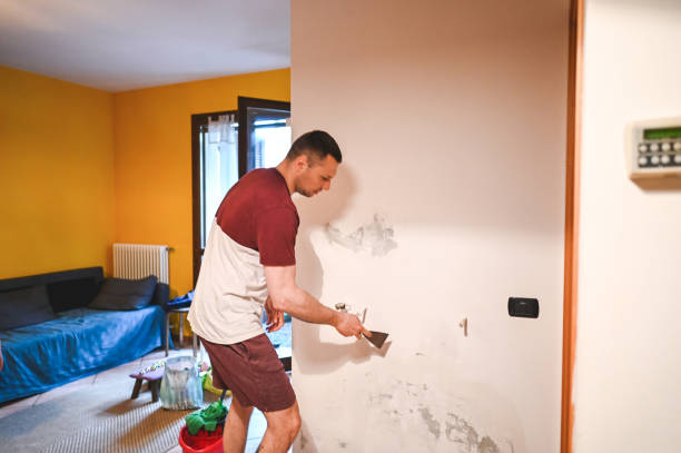 Best Mold Removal Company Near Me  in Winston Salem, NC